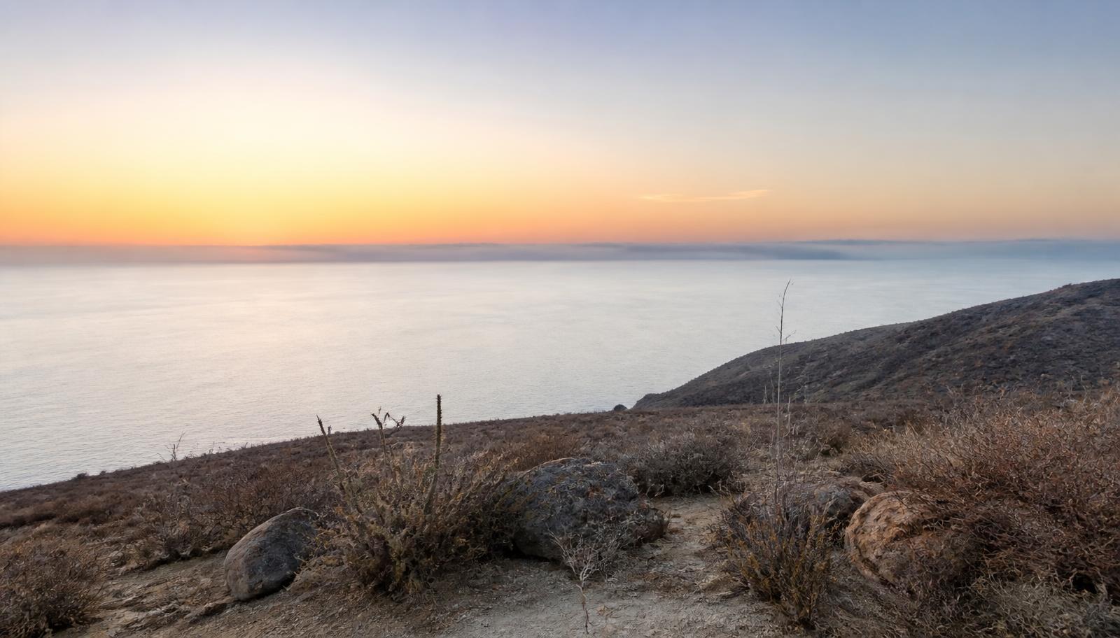 Calm Pacific horizon at dawn seen from an arid Baja hillside